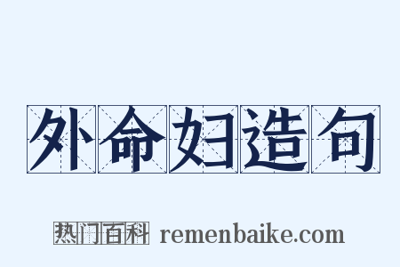 外命妇造句是什么意思的图片